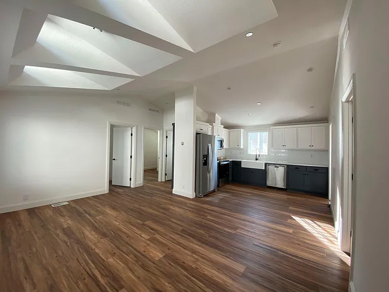 Living room and kitchen