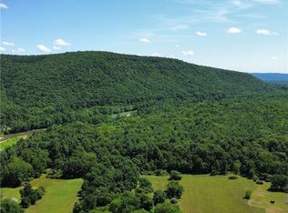 179 Bennett Rd LOT 1-3, Pine City, NY 14871