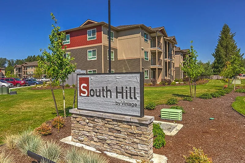 South Hill by Vintage
