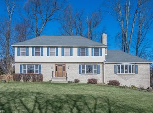 11 Gianna Ct, Randolph, NJ