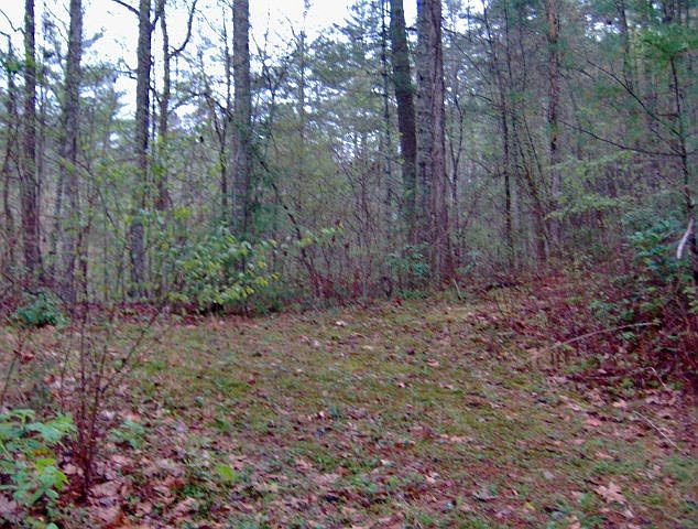 2nd image of 10 Crews Cove LOT 10