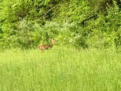 (Undisclosed Address), La Plata, MO, 63549