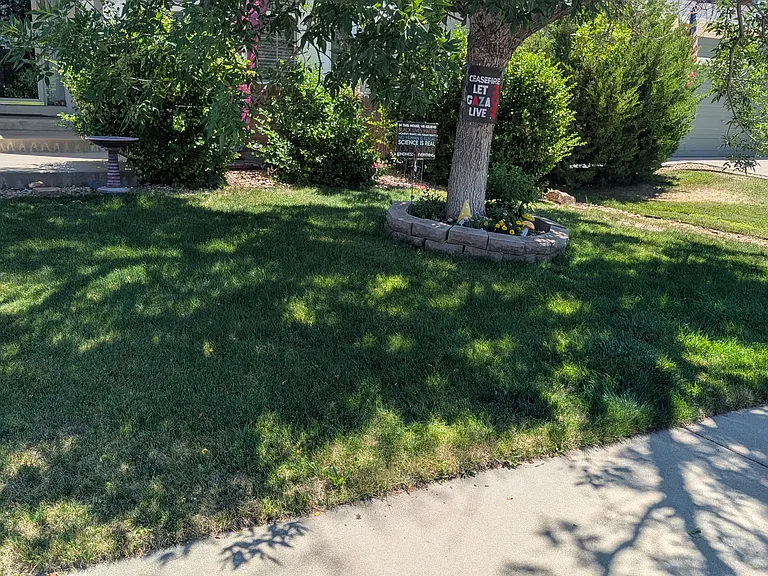 Beautiful maintained front lawn