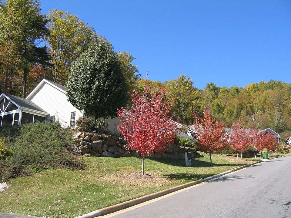 Screenporch on left, Bradford pear commanding