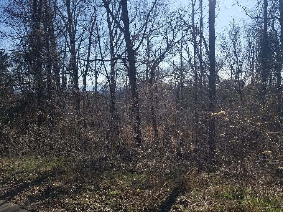 1st image of 12 Walk In The Trees Dr Lot 12