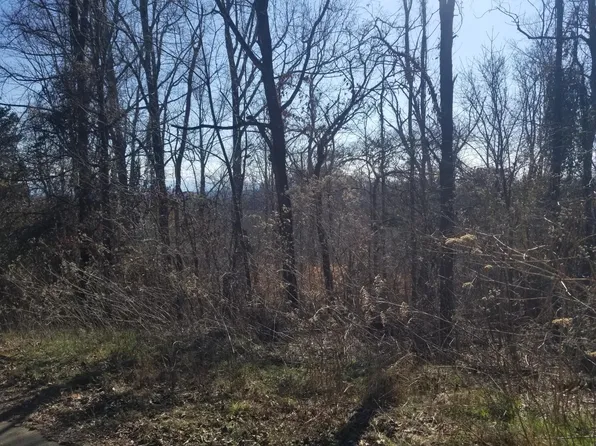 12 Walk In The Trees Dr Lot 12, New Market, TN 37820