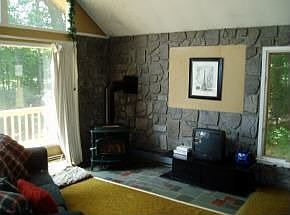 Gas wood stove Livrm