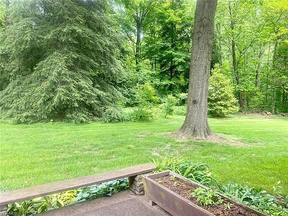 3rd image of 136 Parkview Cir