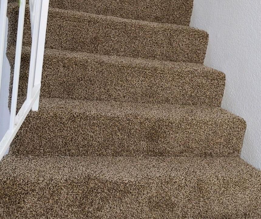 New Carpet