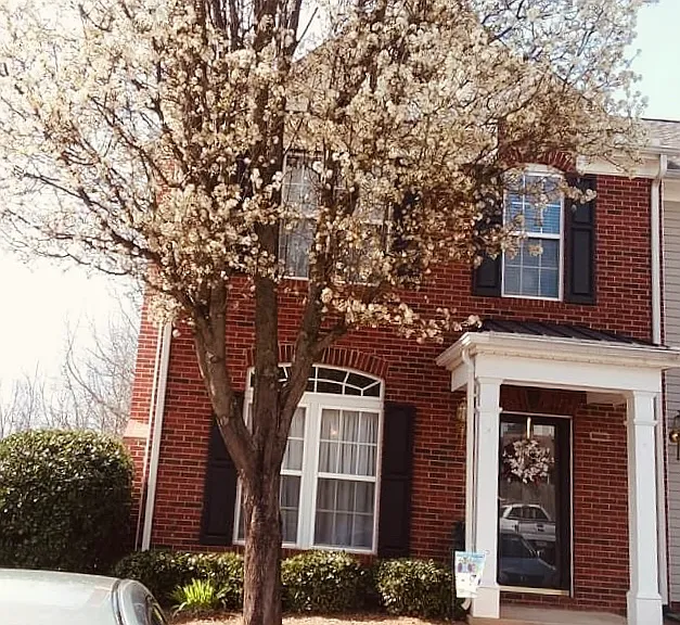 434 Canewood Pl — Photo 23