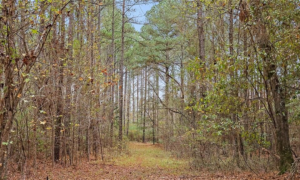 923 Hunter Rd Ellaville GA Zillow
