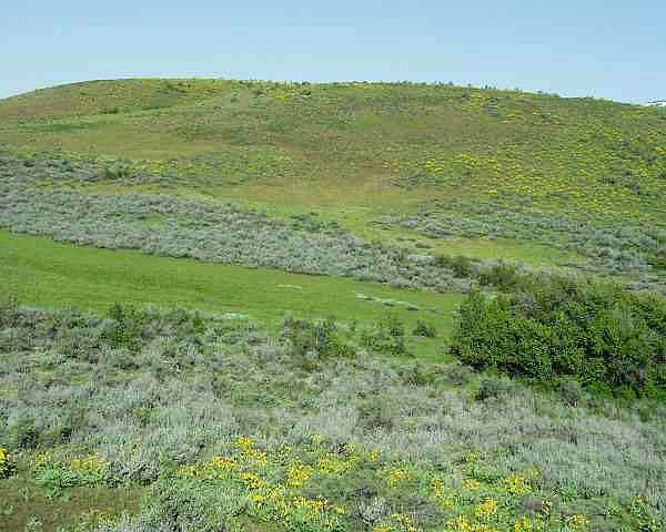 2nd image of Tbd Mesa Siding Rd