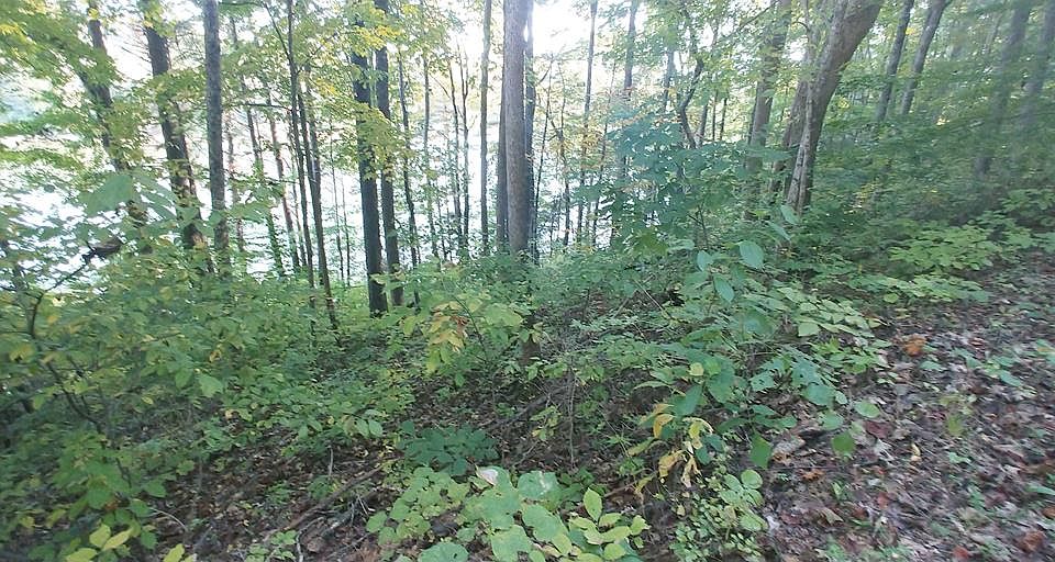 1st image of Tbd Wild Cherry Ln