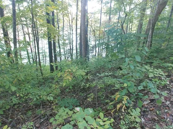 Tbd Wild Cherry Ln, Abingdon, VA 24211