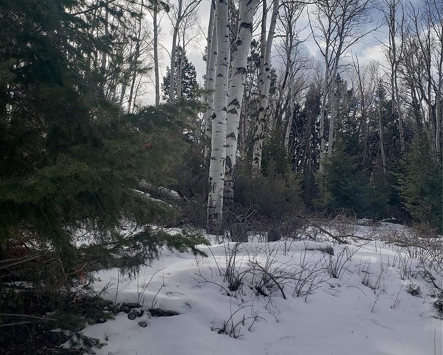2nd image of 255 Mill Run Rd
