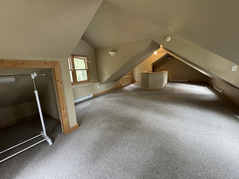 10519 Curtis Lake Ln — Photo 15