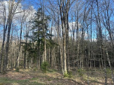 On Ridgeview Ln, Phelps, WI, 54554