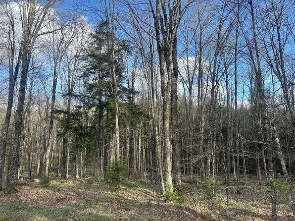 On Ridgeview Ln, Phelps, WI 54554