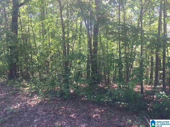0 County Road 153 Lot 0, Jemison, AL 35085