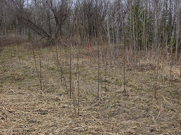 2nd image of Lampi Rd