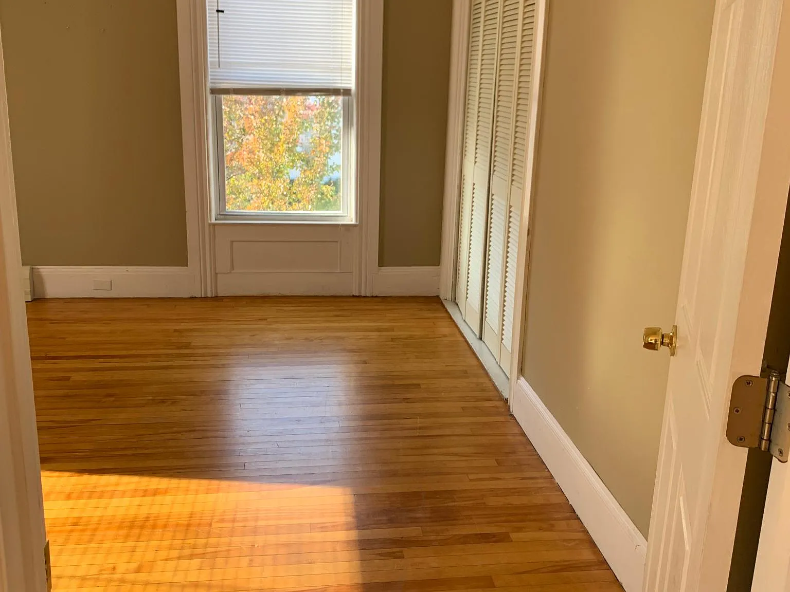 91 Ash St — Photo 4