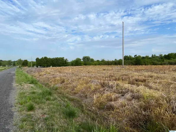 0X County Road 66, Section, AL 35771