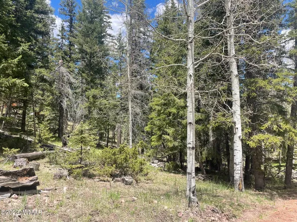 7 County Road 2220, Alpine, AZ 85920
