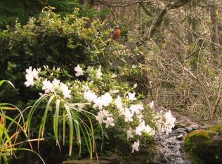 202 Raintree Ln, Lake Jackson, TX 77566