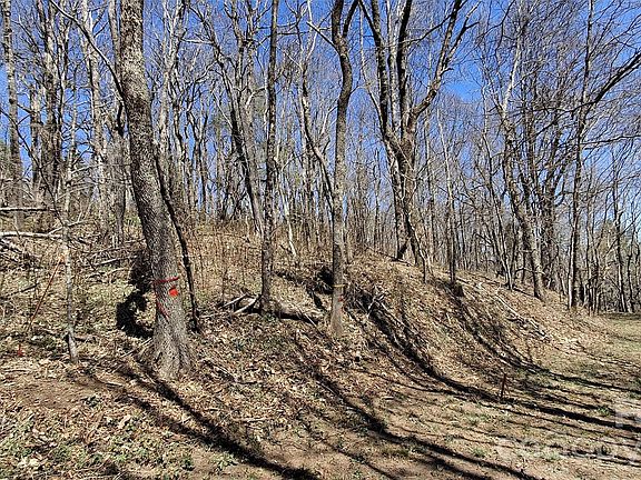5th image of 0 Big Ridge Rd