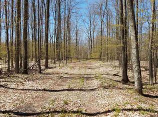 40 Acres Stanton Rd, Thompsonville, MI 49683