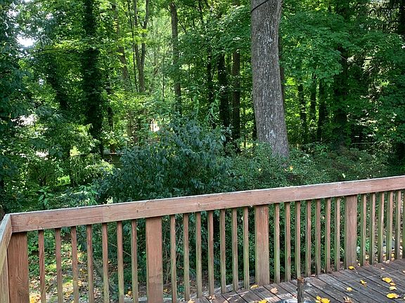View from back deck