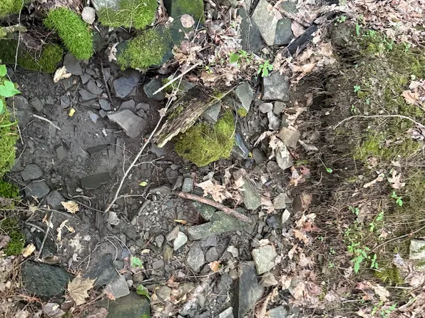 W Whitcomb Rd Lot Wp001, Barton, NY 13734