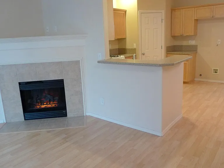Living room and Kitchen combo. New fridge not shown