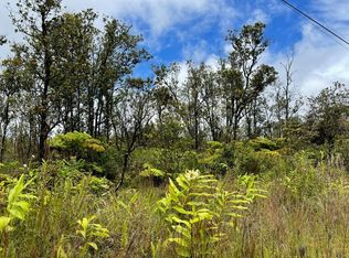 11-2439 Kaleponi Rd LOT 33, Volcano, HI 96785