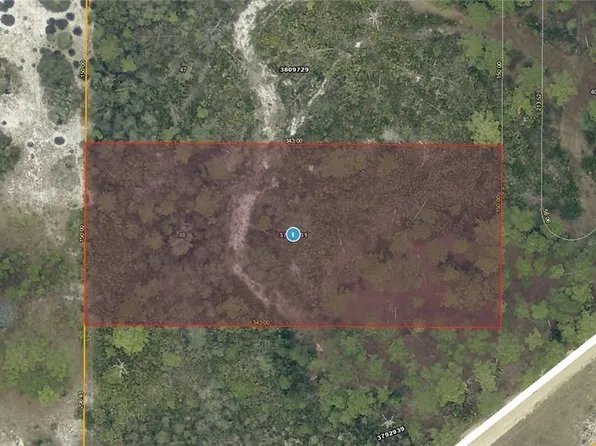 28-17-28-0004-00 Buck Run Dr, Paisley, FL 32767
