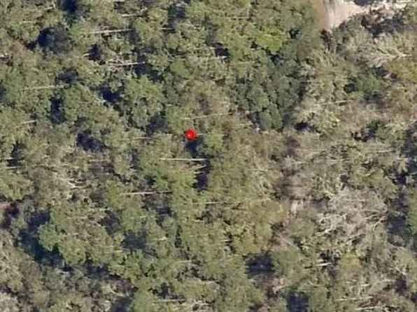 0000 NE 153 Street, Fort McCoy, FL 32134