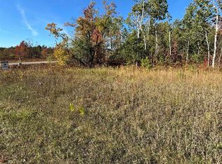 1200 Thornton Dr, Mancelona, MI 49659