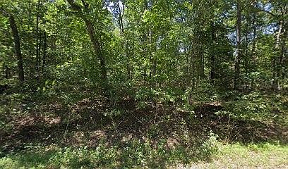 1st image of 7015 Topez Dr