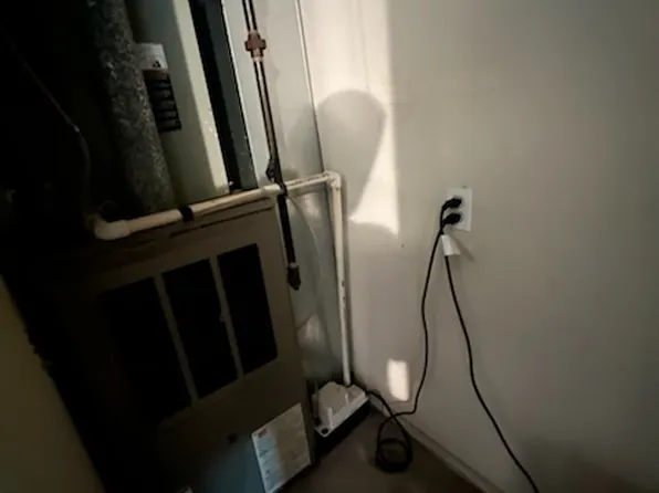 264 Ward Avenue image 16 of 21