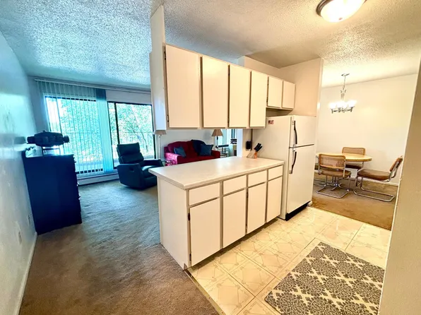 4110 Rahn Rd APT 319, Eagan, MN 55122