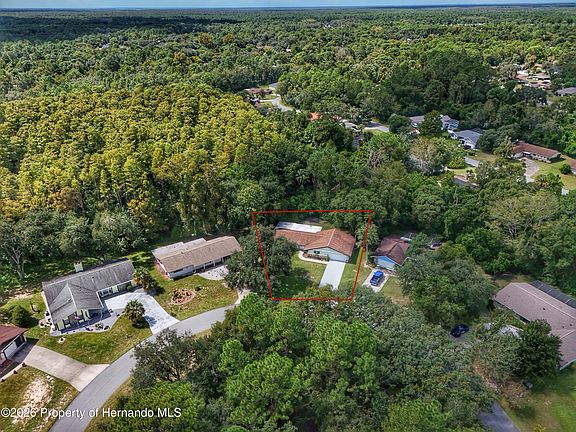3rd image of 16 Fig Ct W