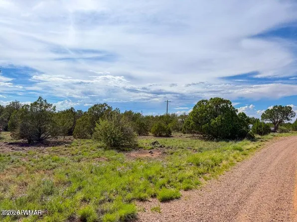8543 & 8545 Loveridge Dr, Show Low, AZ 85901