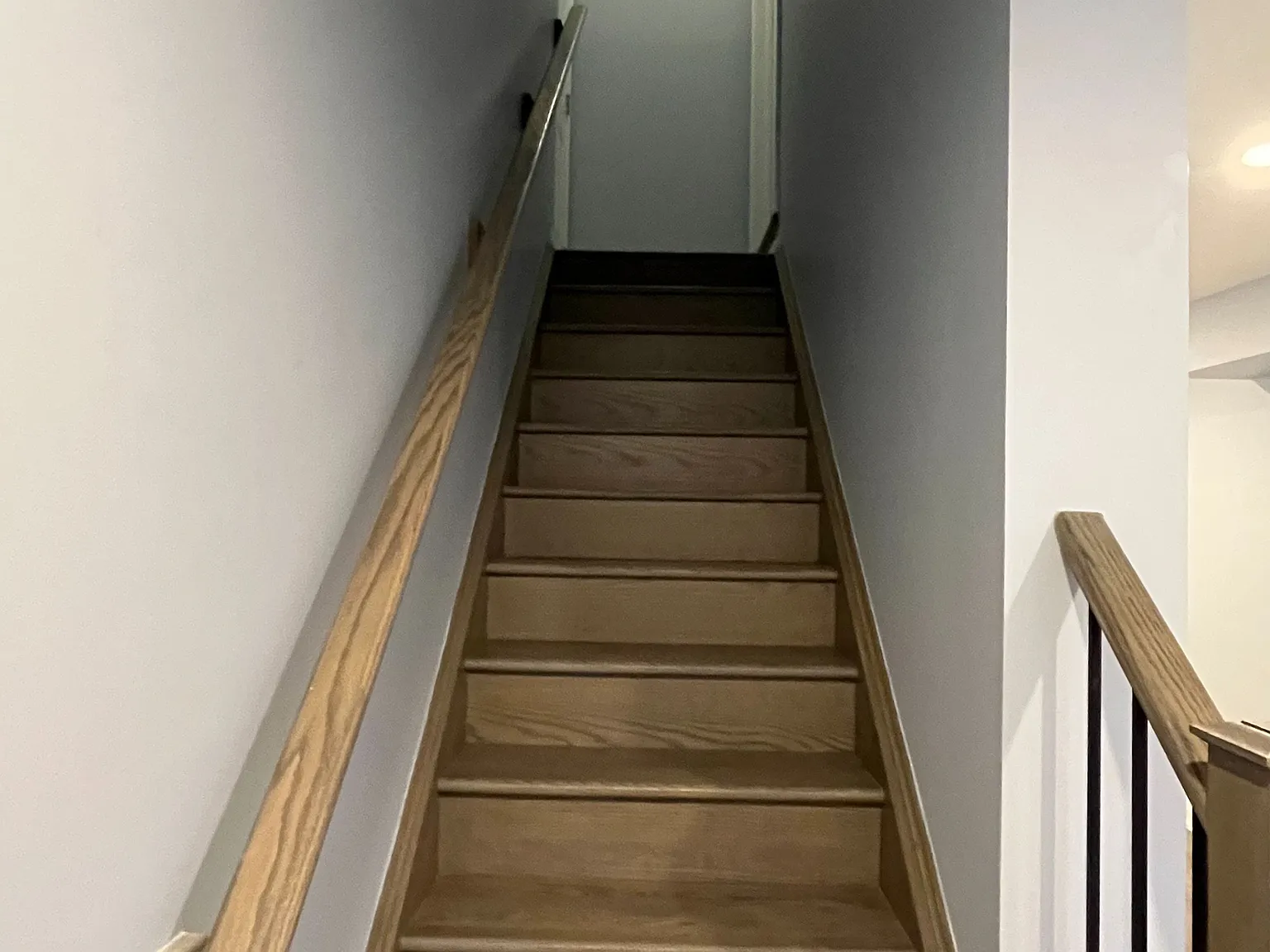 1 bed, $1,590 — Photo 2