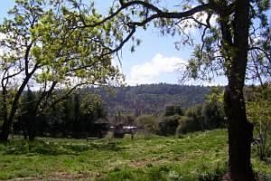 5 Beautiful Acres