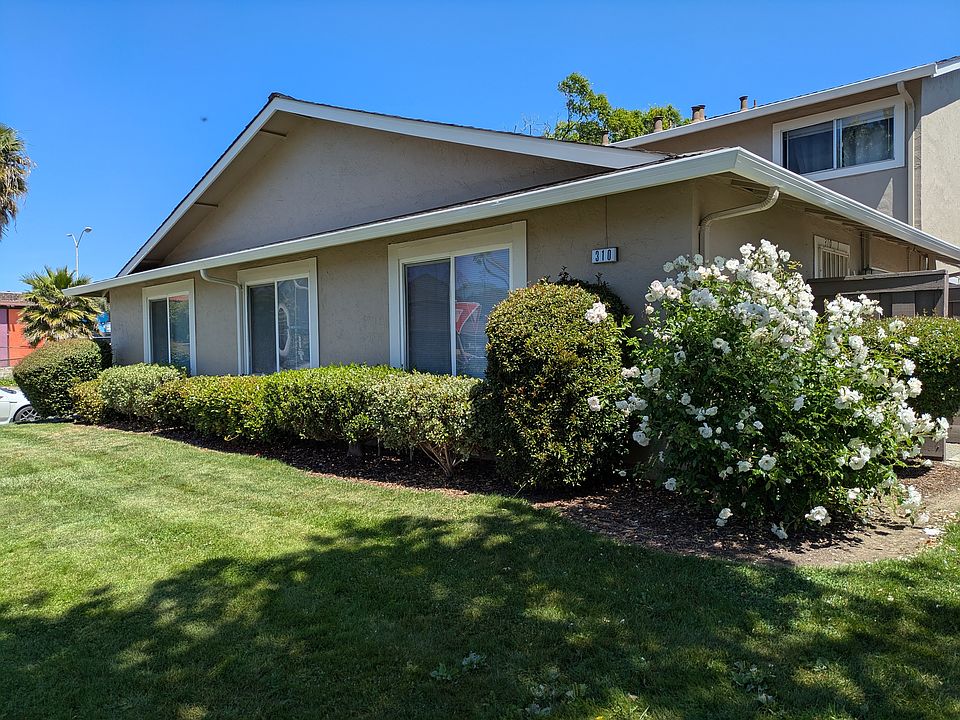 1st image of 310 San Petra Ct APT 1