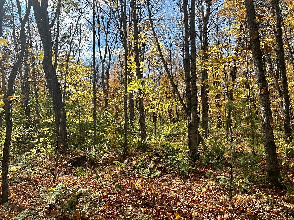 Off County Line Lake Rd 39, Bruce Crossing, MI 49912 Zillow