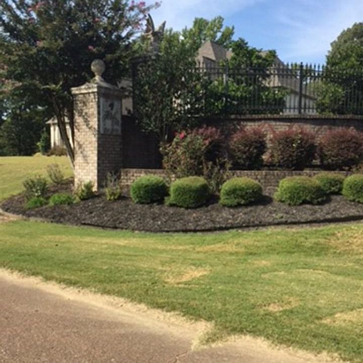 2nd image of 40 Kings Manor Cv #4