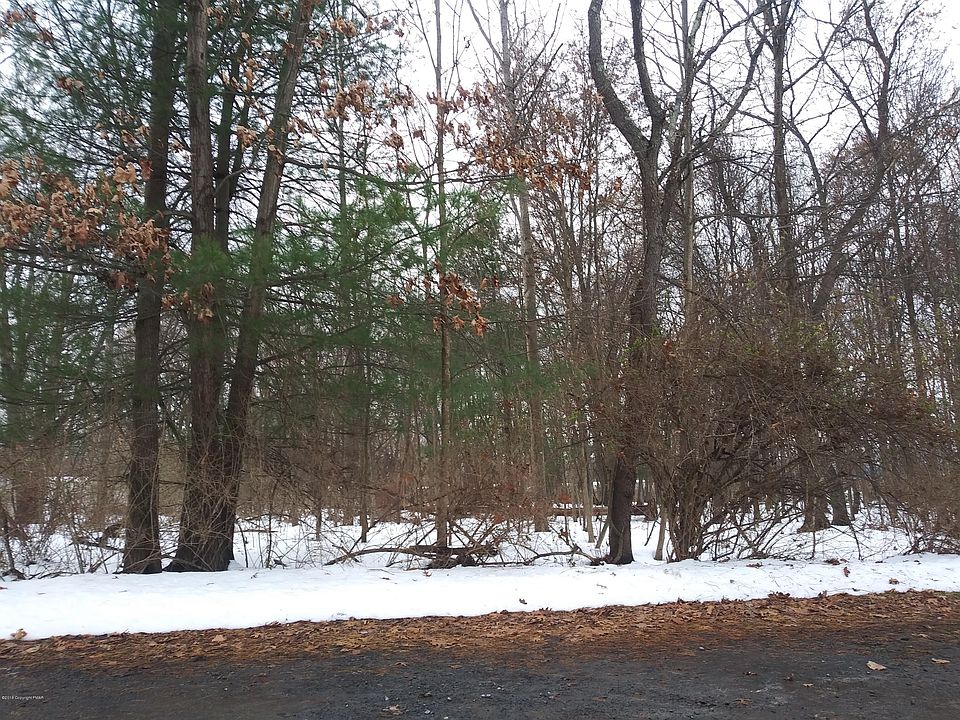 2nd image of Wilson Ave