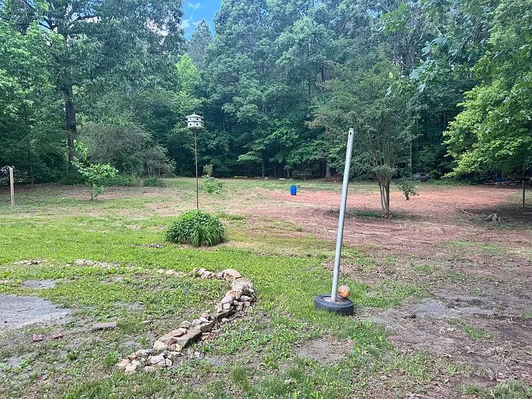 Squirrel Run — Photo 4