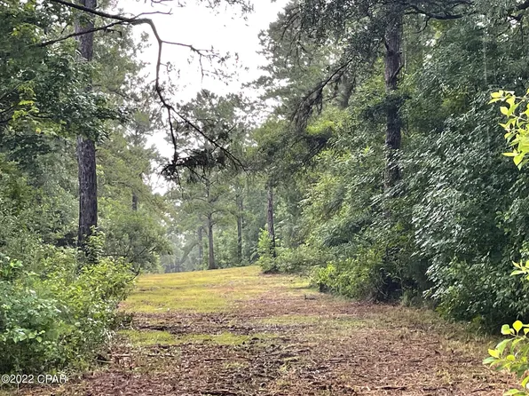 Carters Mill Rd, Marianna, FL 32446